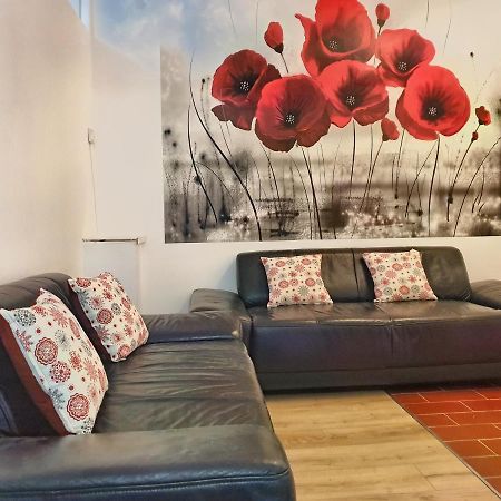 Cozy Penthouse In A New Business Building In City Center. Free Private Parking Lägenhet Cluj-Napoca Exteriör bild