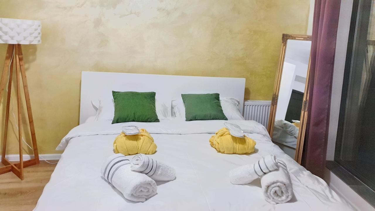 Cozy Penthouse In A New Business Building In City Center. Free Private Parking Lägenhet Cluj-Napoca Exteriör bild