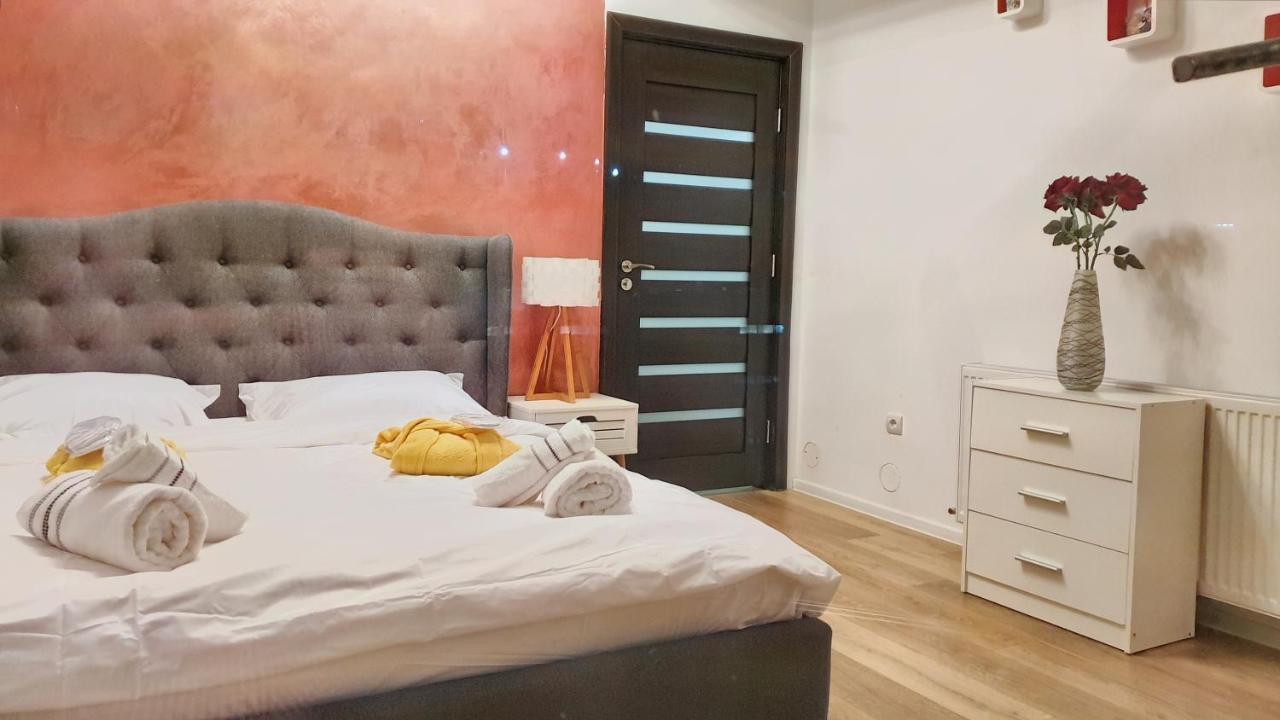Cozy Penthouse In A New Business Building In City Center. Free Private Parking Lägenhet Cluj-Napoca Exteriör bild